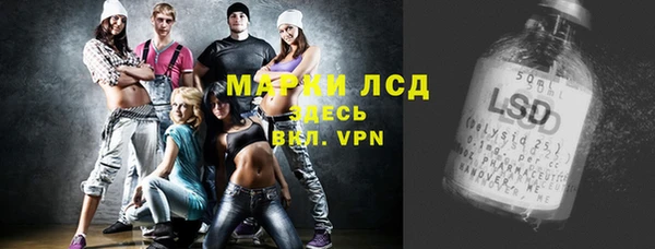 apvp Алзамай