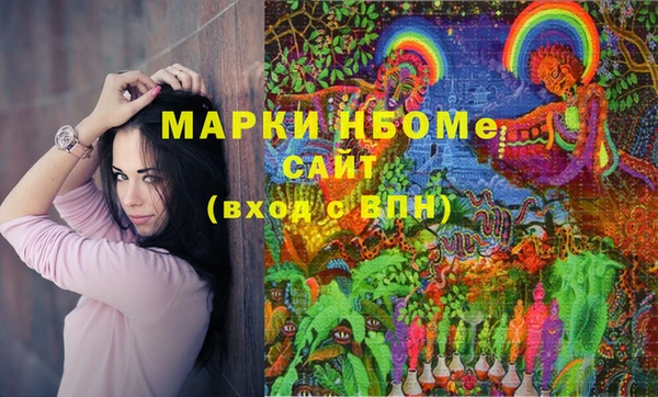 apvp Алзамай