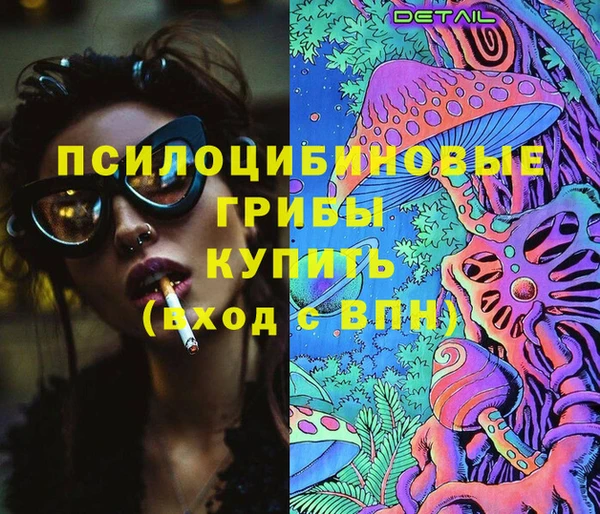 apvp Алзамай
