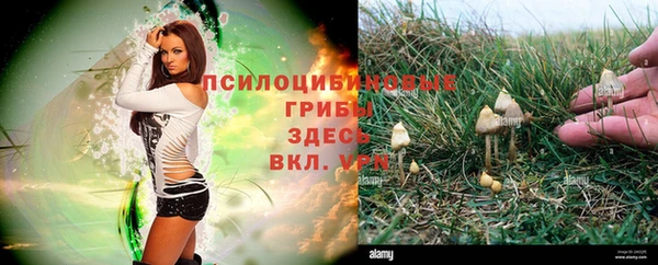 герыч Алексин