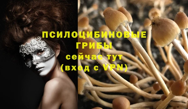 apvp Алзамай