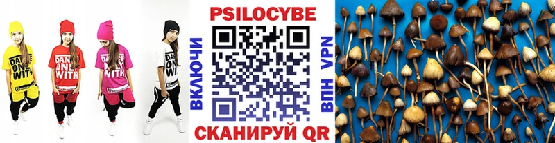 Псилоцибиновые грибы Psilocybine cubensis Липки